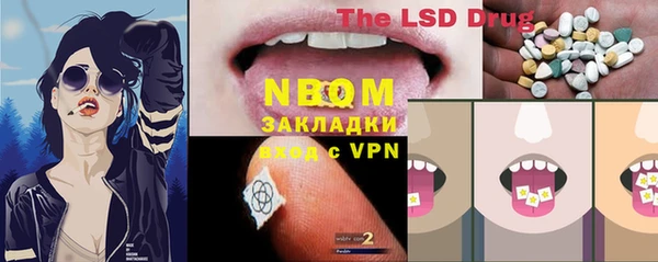 шишки Аркадак