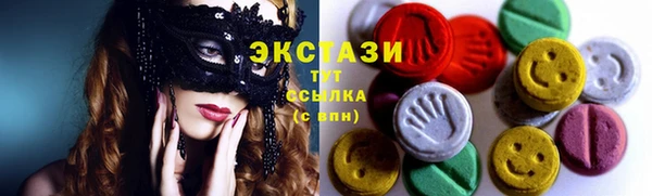 шишки Аркадак