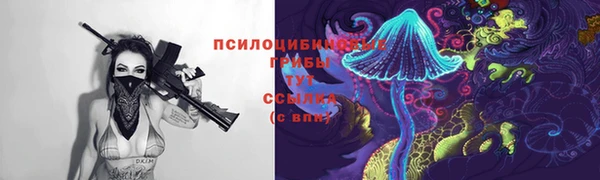 меф Арсеньев