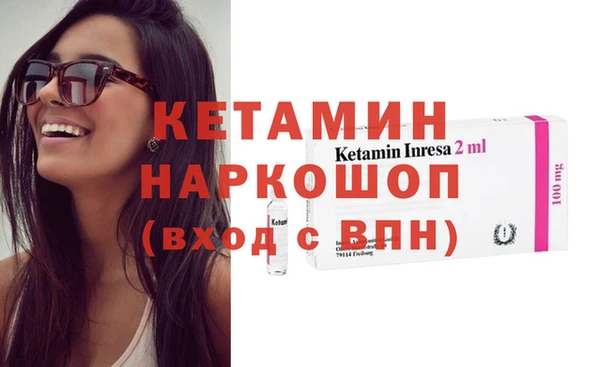 шишки Аркадак