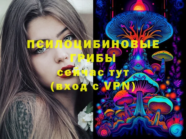 шишки Аркадак