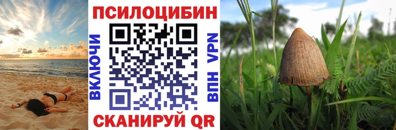 Псилоцибиновые грибы MAGIC MUSHROOMS  Нижний Ломов 